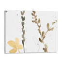 Contornos De Rama Viii - Jennifer Goldberger | Cuadro decorativo de Canvas Lab