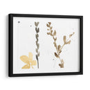 Contornos De Rama Viii - Jennifer Goldberger | Cuadro decorativo de Canvas Lab