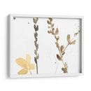 Contornos De Rama Viii - Jennifer Goldberger | Cuadro decorativo de Canvas Lab