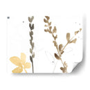 Contornos De Rama Viii - Jennifer Goldberger | Cuadro decorativo de Canvas Lab