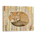 Collage Red Fox Iii - Nikki Galapon | Cuadro decorativo de Canvas Lab