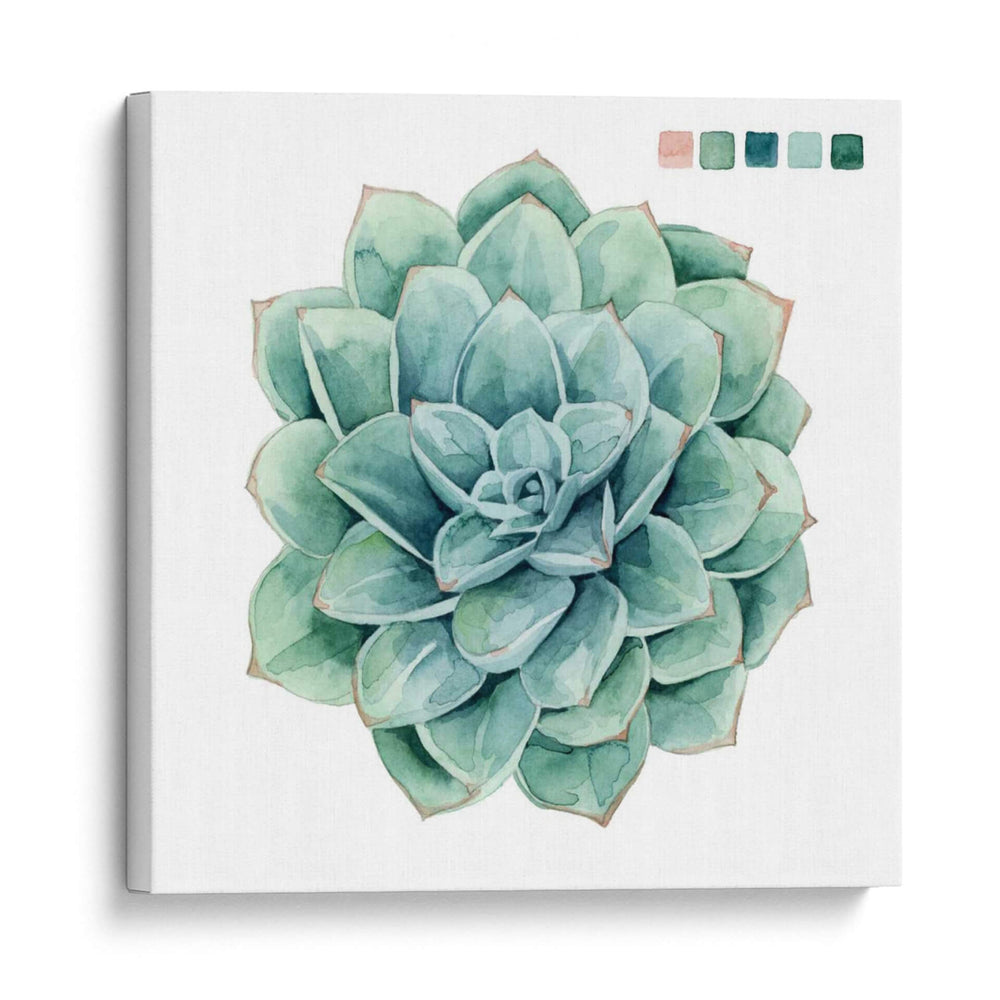 Muestras Suculentas I - Grace Popp | Cuadro decorativo de Canvas Lab