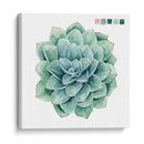 Muestras Suculentas I - Grace Popp | Cuadro decorativo de Canvas Lab