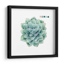 Muestras Suculentas I - Grace Popp | Cuadro decorativo de Canvas Lab
