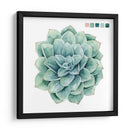Muestras Suculentas I - Grace Popp | Cuadro decorativo de Canvas Lab