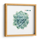 Muestras Suculentas I - Grace Popp | Cuadro decorativo de Canvas Lab