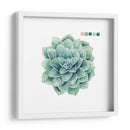 Muestras Suculentas I - Grace Popp | Cuadro decorativo de Canvas Lab