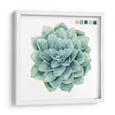 Muestras Suculentas I - Grace Popp | Cuadro decorativo de Canvas Lab