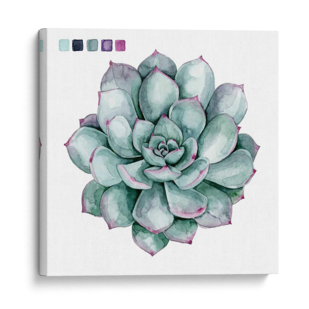 Sujetaciones Suculentas Ii - Grace Popp | Cuadro decorativo de Canvas Lab