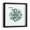 Sujetaciones Suculentas Ii - Grace Popp | Cuadro decorativo de Canvas Lab