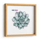 Sujetaciones Suculentas Ii - Grace Popp | Cuadro decorativo de Canvas Lab