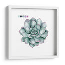 Sujetaciones Suculentas Ii - Grace Popp | Cuadro decorativo de Canvas Lab