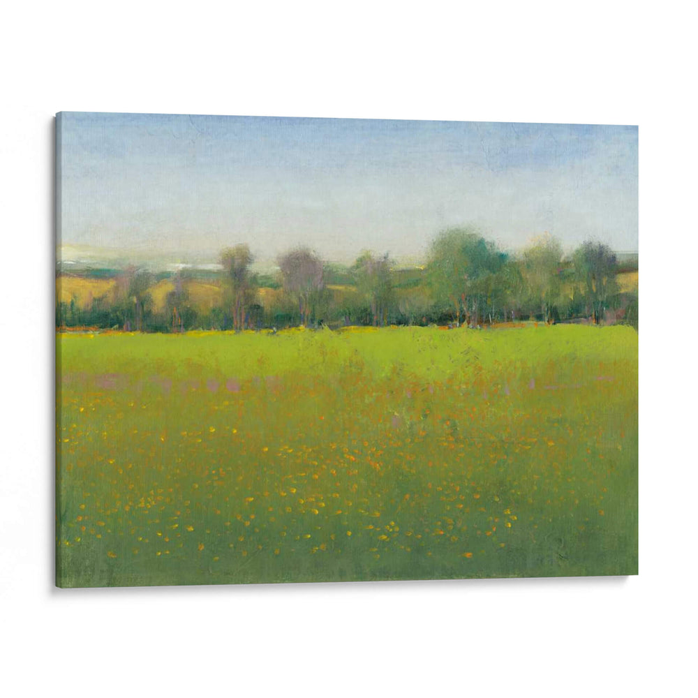 Campo Verde I - Tim OToole | Cuadro decorativo de Canvas Lab