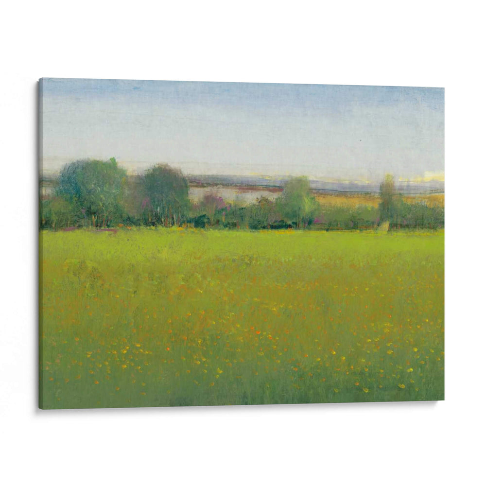Campo Verde II - III - Tim OToole | Cuadro decorativo de Canvas Lab