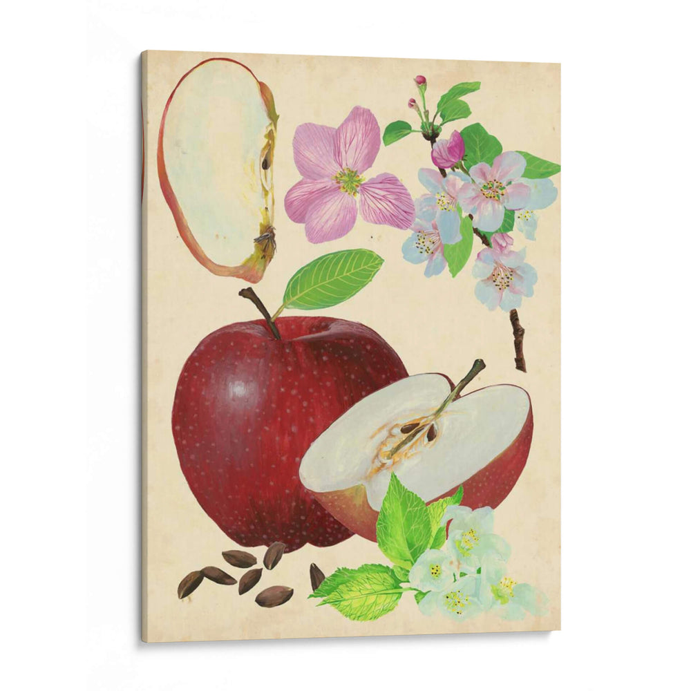 Estudio De Manzana Y Flor I - Melissa Wang | Cuadro decorativo de Canvas Lab