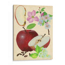 Estudio De Manzana Y Flor I - Melissa Wang | Cuadro decorativo de Canvas Lab