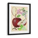 Estudio De Manzana Y Flor I - Melissa Wang | Cuadro decorativo de Canvas Lab