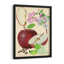 Estudio De Manzana Y Flor I - Melissa Wang | Cuadro decorativo de Canvas Lab