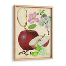 Estudio De Manzana Y Flor I - Melissa Wang | Cuadro decorativo de Canvas Lab