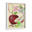 Estudio De Manzana Y Flor I - Melissa Wang | Cuadro decorativo de Canvas Lab