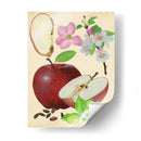Estudio De Manzana Y Flor I - Melissa Wang | Cuadro decorativo de Canvas Lab