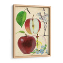 Estudio De Manzana Y Flor Ii - Melissa Wang | Cuadro decorativo de Canvas Lab
