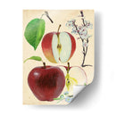 Estudio De Manzana Y Flor Ii - Melissa Wang | Cuadro decorativo de Canvas Lab