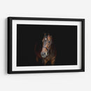 Yegua café | Cuadro decorativo de Canvas Lab