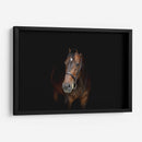 Yegua café | Cuadro decorativo de Canvas Lab