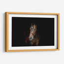 Yegua café | Cuadro decorativo de Canvas Lab