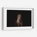 Yegua café | Cuadro decorativo de Canvas Lab