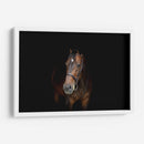 Yegua café | Cuadro decorativo de Canvas Lab