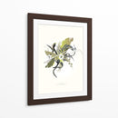LIFEFORMS II - Adrián Gracia | Cuadro decorativo de Canvas Lab