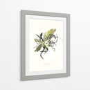 LIFEFORMS II - Adrián Gracia | Cuadro decorativo de Canvas Lab