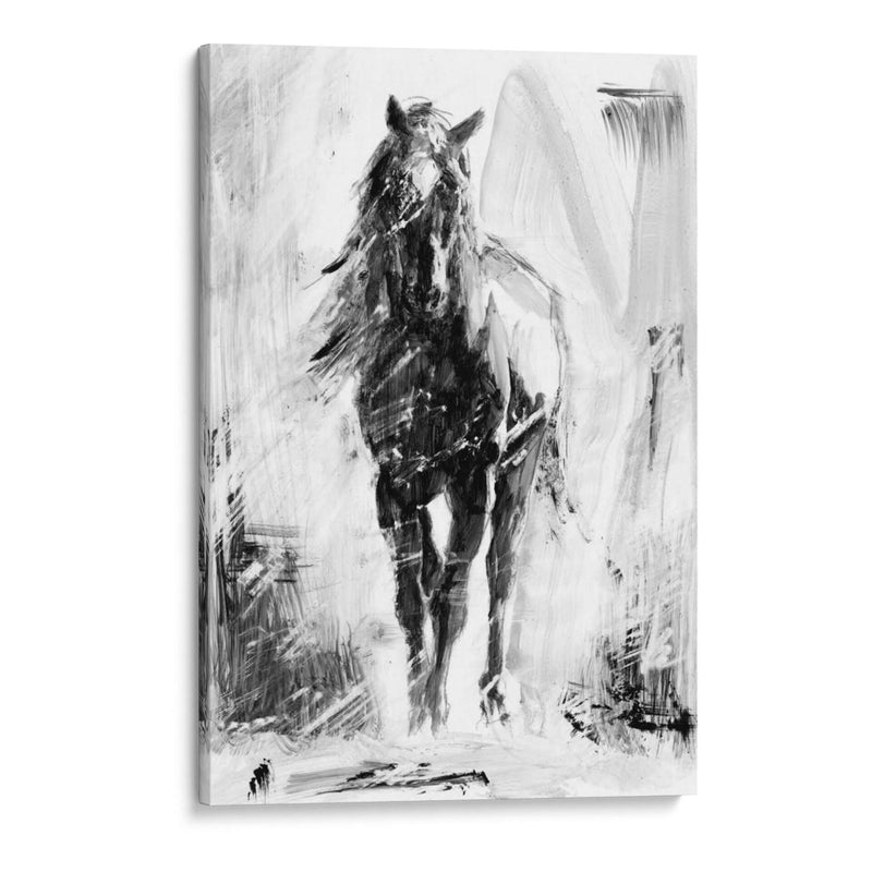 Stallion Rustico Ii - Ethan Harper | Cuadro decorativo de Canvas Lab