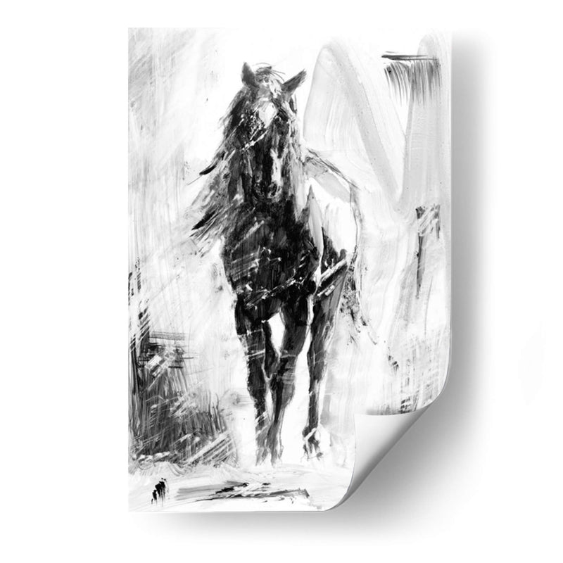 Stallion Rustico Ii - Ethan Harper | Cuadro decorativo de Canvas Lab