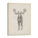 Estudio De Alce - Ethan Harper | Cuadro decorativo de Canvas Lab
