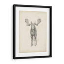 Estudio De Alce - Ethan Harper | Cuadro decorativo de Canvas Lab