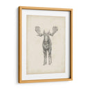 Estudio De Alce - Ethan Harper | Cuadro decorativo de Canvas Lab