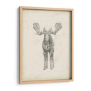 Estudio De Alce - Ethan Harper | Cuadro decorativo de Canvas Lab