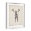 Estudio De Alce - Ethan Harper | Cuadro decorativo de Canvas Lab