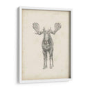Estudio De Alce - Ethan Harper | Cuadro decorativo de Canvas Lab