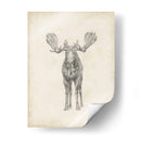 Estudio De Alce - Ethan Harper | Cuadro decorativo de Canvas Lab