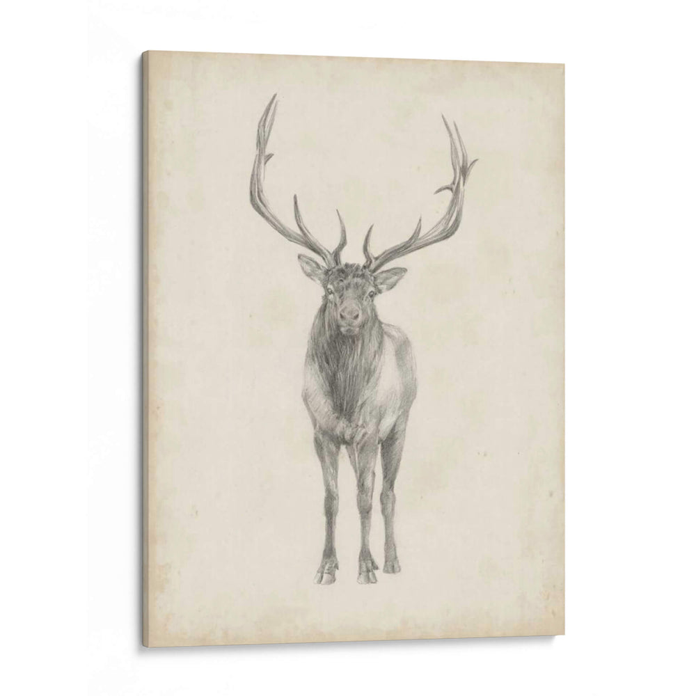 Estudio De Alces - Ethan Harper | Cuadro decorativo de Canvas Lab