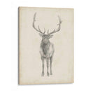 Estudio De Alces - Ethan Harper | Cuadro decorativo de Canvas Lab