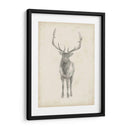 Estudio De Alces - Ethan Harper | Cuadro decorativo de Canvas Lab
