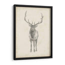 Estudio De Alces - Ethan Harper | Cuadro decorativo de Canvas Lab