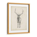 Estudio De Alces - Ethan Harper | Cuadro decorativo de Canvas Lab
