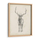 Estudio De Alces - Ethan Harper | Cuadro decorativo de Canvas Lab