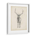Estudio De Alces - Ethan Harper | Cuadro decorativo de Canvas Lab